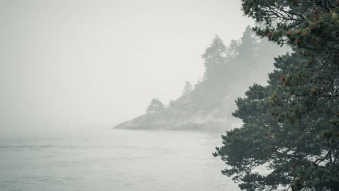 Foggy coast.