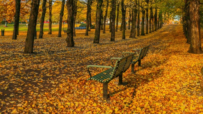 Swedish park in autumn.