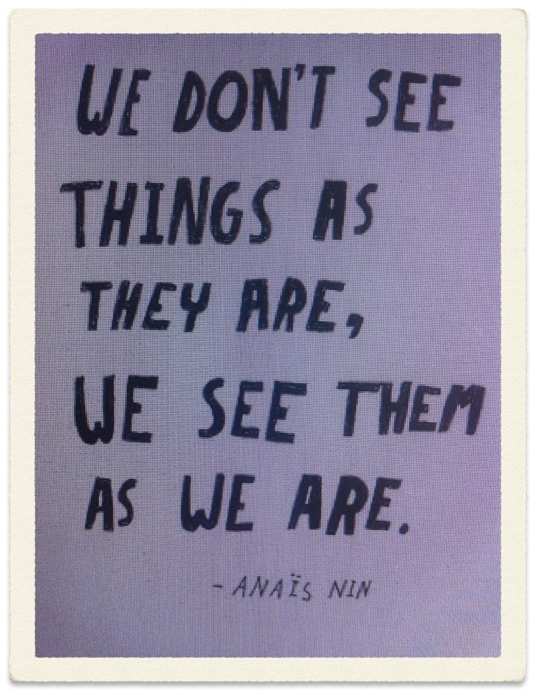 Perception Quote - Anais Nin