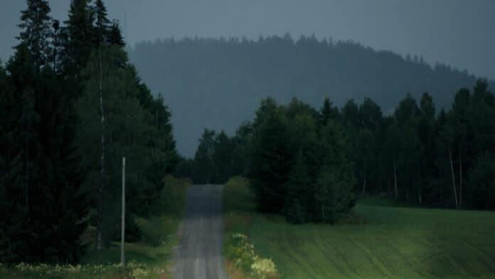 Summer road through the Swedish forest.