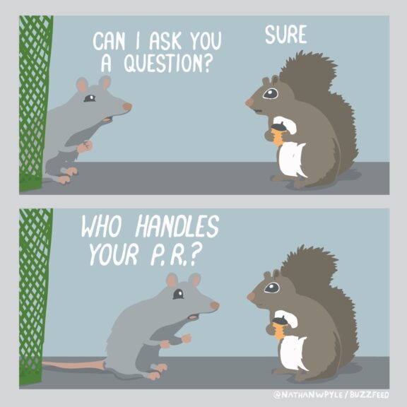 A squirrel is just a rat with good PR.