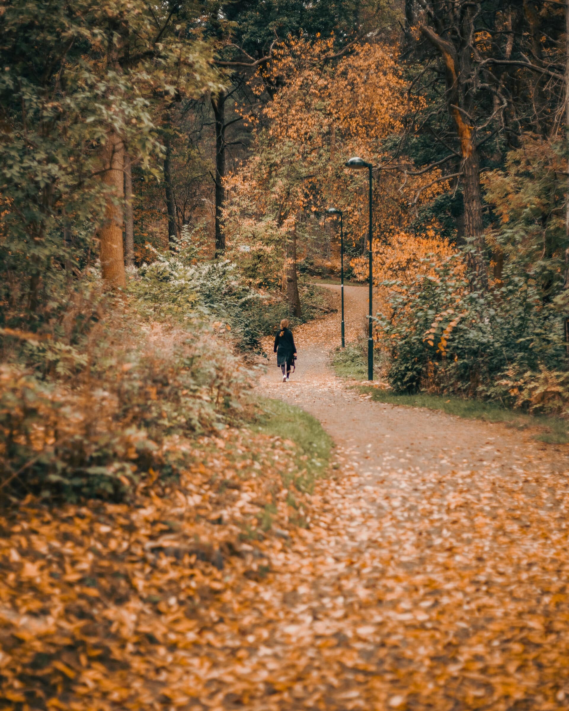Autumn-Walk-Lisah-Silfwer