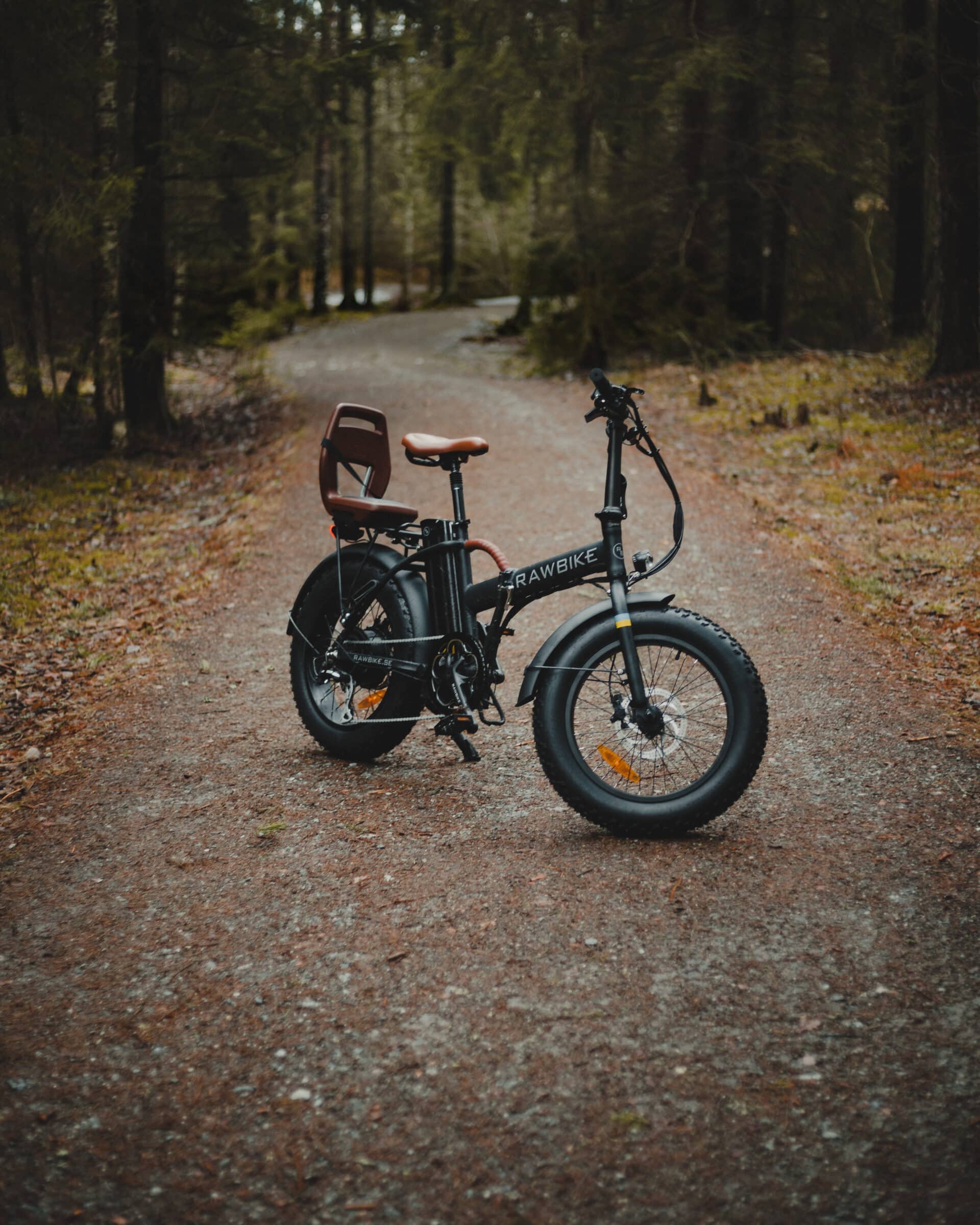 Forest Therapy - Rawbike