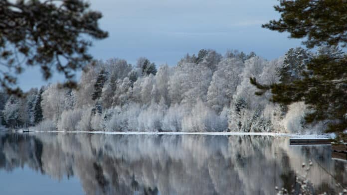 Lake in winter landscape.