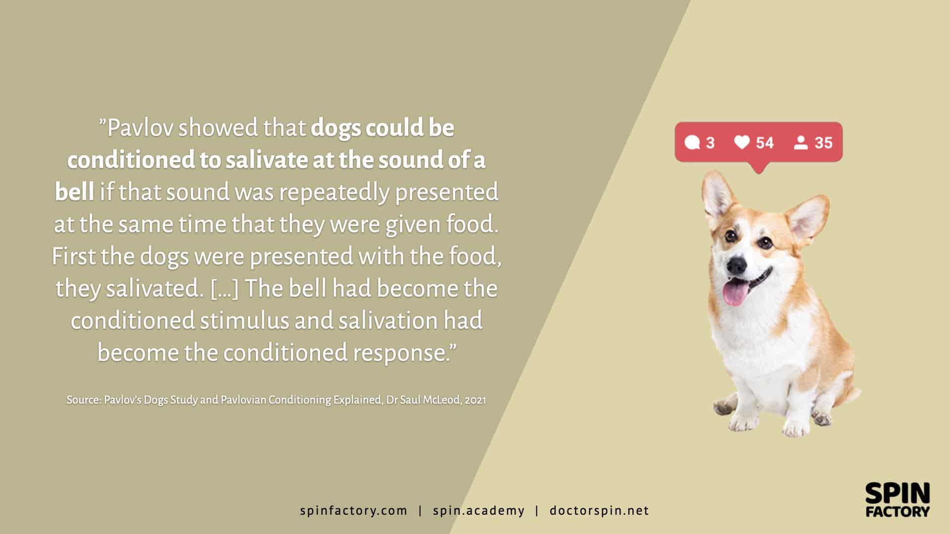 Pavlov Dogs - Doctor Spin - The PR Dog