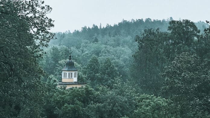 A small yellow tower building in a foggy and dark green forest.