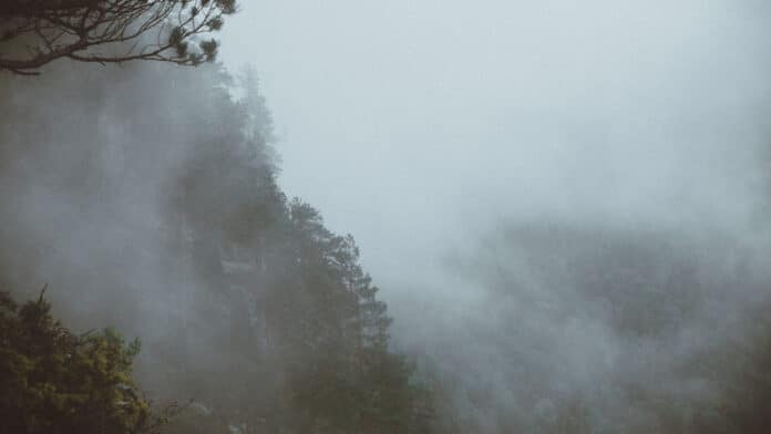 Foggy side of the mountain.